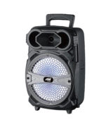 Portable Party Speaker with LED Lighting Effects