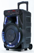 Portable 12″ Bluetooth® Party Speaker with Disco Light